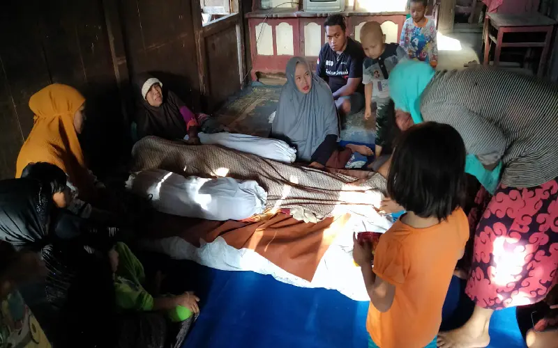 Petani di Minsel Tewas Tertimpa Pohon Seho yang Tumbang