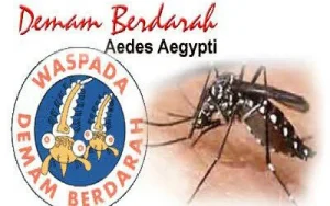 Kasus Demam Berdarah di Minsel Meningkat, Masyarakat Diminta Waspada