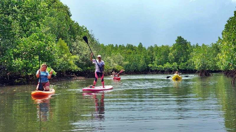 Wisata petualangan susur sungai Mangrove Desa Sarawet.