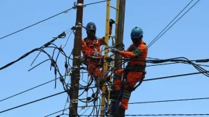 PLN Suluttenggo Kini Punya  Pasukan Elit,  Siap Jaga Keandalan Listrik