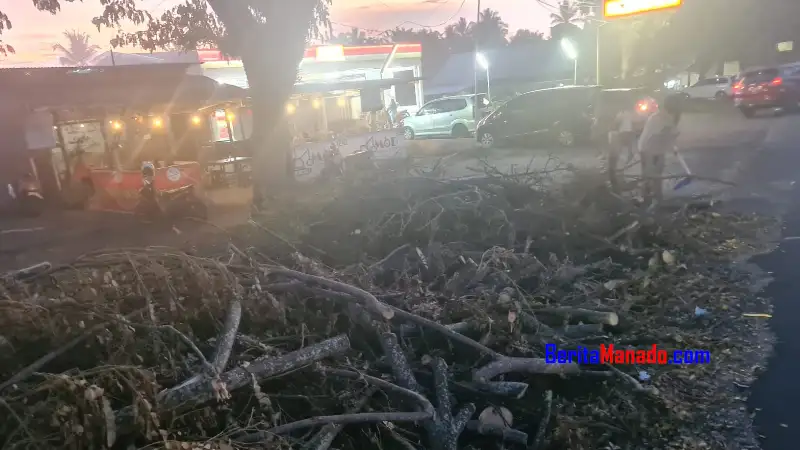Usai Tebang Pohon, DLH Minut Biarkan Sampah Menumpuk Hingga Rugikan UMKM