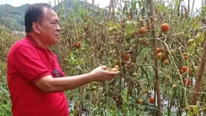 CATATAN RUBEN SAERANG: 6 Juni di Manado dan Jiwa Marhaenisme