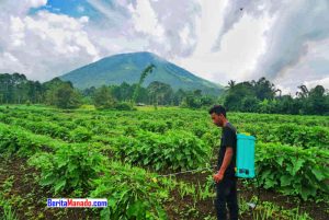 Cerita Petani di Kaki Gunung Lokon, Tak Takut Meski Berstatus Waspada
