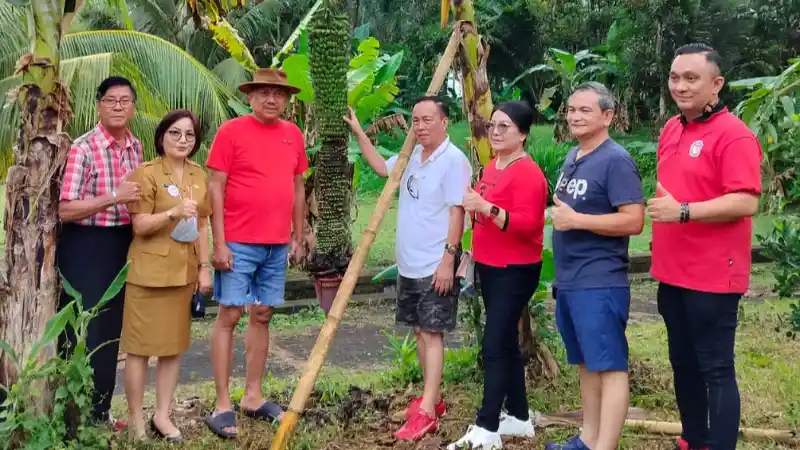 Pisang Raja Seribu Olly Dondokambey dan Kemenangan Mutlak PDIP di 2024 9 Pisang Raja Seribu Olly Dondokambey dan Kemenangan Mutlak PDIP di 2024