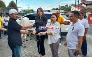 Hebat! 2 Wanita Partai Golkar Minsel Bawa Bantuan Sapi Kurban ke 4 Masjid di Tumpaan
