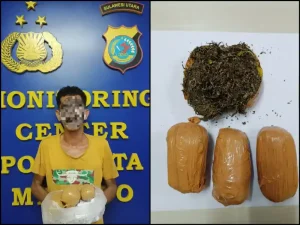 Terbesar Sepanjang Tahun Ini, Sat Res Narkoba Manado Gagalkan Peredaran 4 Paket Besar Ganja di Sulawesi Utara