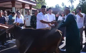 Berita Foto: Penyerahan Hewan Kurban Pemerintah Kabupaten Minahasa Selatan