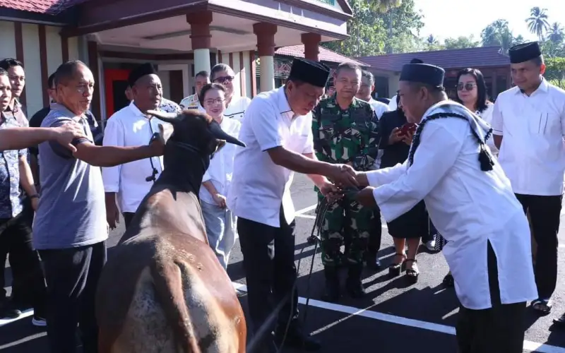 Berita Foto: Penyerahan Hewan Kurban Pemerintah Kabupaten Minahasa Selatan