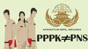 Empat Jurusan Paling Berpeluang Lolos CPNS 2023