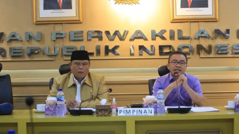 Joune Ganda Bawa Usulan APKASI di Rapat Dengar Pendapat BULD DPD RI