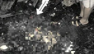 Ini Fakta-fakta Kebakaran Maut di Pakowa, Terdengar Teriakan Minta Tolong Hingga Ada Korban Tewas