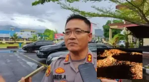 Viral! Anggota Polisi di Bolmut Diduga Buang Cabai Milik Pedagang di Jalan, Kapolres AKBP Areis Aminulla: Bakal Diproses dan Ditindak Tegas