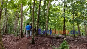 Karena TMMD ke-117 Kodim 1309/Manado, Keberadaan Kampung Lahendong di Perkebunan Bengkol Terungkap