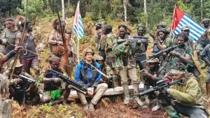 Jokowi Lobi Australia dan Papua Nugini Bantu Pembebasan Pilot Susi Air