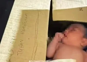 Miris! Ada Bayi Dibuang Dalam Kardus Diatas Kap Fortuner