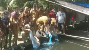 Pemkab Minut Salurkan Alat Penunjang Budidaya Ikan Air Tawar dan Panen Bersama Kelompok Sehati