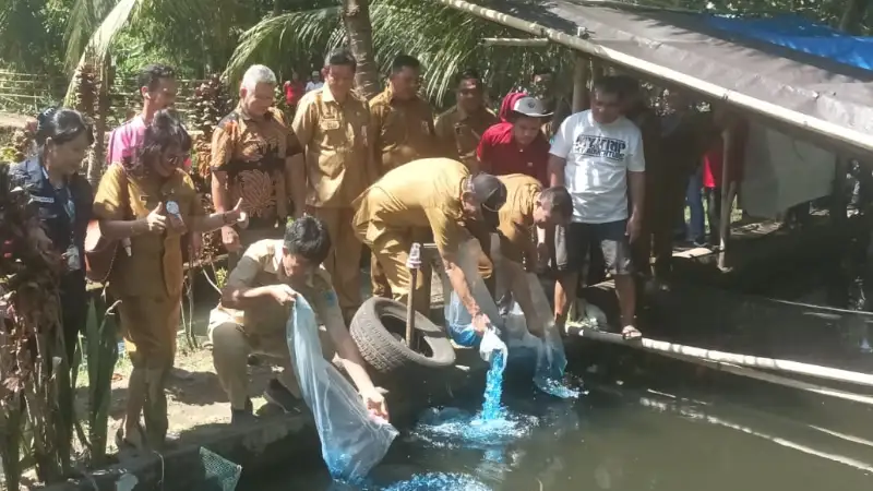 Pemkab Minut Salurkan Alat Penunjang Budidaya Ikan Air Tawar dan Panen Bersama Kelompok Sehati