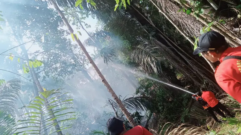 Api dan Asap Mulai Terlihat di Perkebunan Srawet, TWA Tangkoko Terancam 9 Api dan Asap Mulai Terlihat di Perkebunan Srawet, TWA Tangkoko Terancam