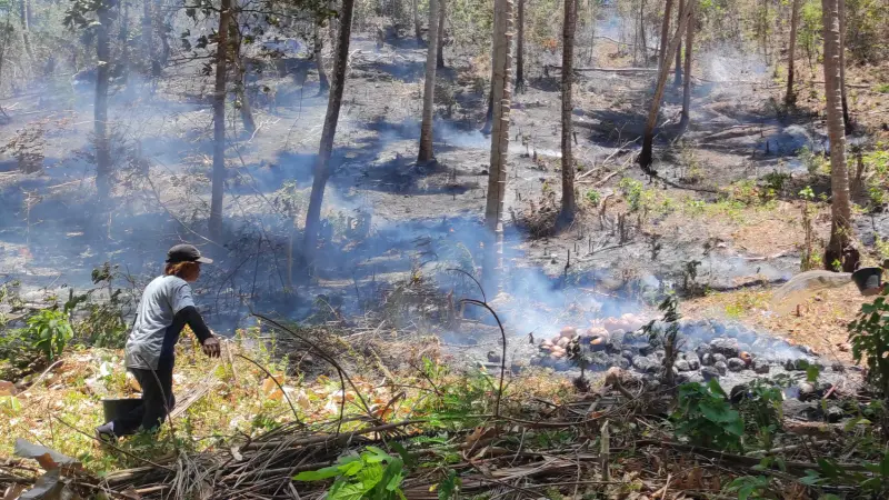 Api Menyala di Kompleks Losmen Batuputih Bitung, Warga Lakukan Pemadaman dengan Alat Seadanya