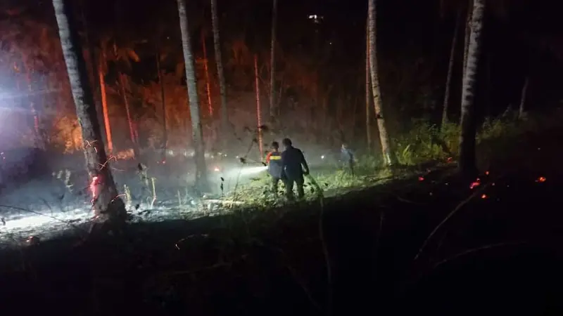 Api dan Asap Mulai Terlihat di Perkebunan Srawet, TWA Tangkoko Terancam