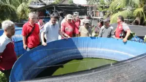 Tinjau Budidaya Ikan Lele dan Mujair, Wali Kota Andrei Angouw: Perlu Terobosan Agar Dapatkan Keuntungan Lebih