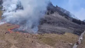 Ini Taksiran Kerugian Kebakaran Bromo akibat Flare Prawedding