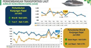 Jumlah Penumpang Transportasi Laut dan Udara pada Juli 2023 Naik, Kecuali Ini