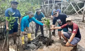 Berbagi Sembako hingga Tanam Mangrove Jadi Bentuk CSR Daya Adicipta Wisesa