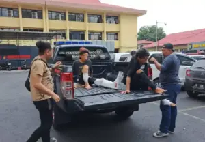 Dibuat ‘Ngesot’ Usai Acungkan Sajam Ke Anggota Polisi, Peks Tikang-Tikang Jual Perempuan Bawah Umur di Manado
