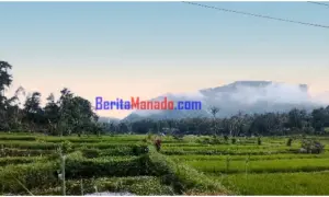 Pertanian Masih Jadi Penyerap Tenaga Kerja Terbanyak di Sulut