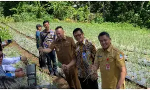 BI Sulut Panen Bawang Merah dari Berbagai Kerja Sama, Pemerintah Kota Manado Salah Satunya
