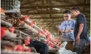 BRI Targetkan Penyaluran KUR Rp165 Triliun Rampung September 2024