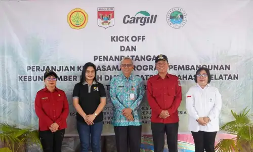 Kebun Sumber Benih Kelapa Bido Dibangun di Minsel, Ini Harapan Bupati Franky Donny Wongkar