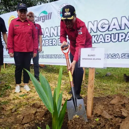 Kebun Sumber Benih Kelapa Bido Dibangun di Minsel, Ini Harapan Bupati Franky Donny Wongkar 10 Kebun Sumber Benih Kelapa Bido Dibangun di Minsel, Ini Harapan Bupati Franky Donny Wongkar
