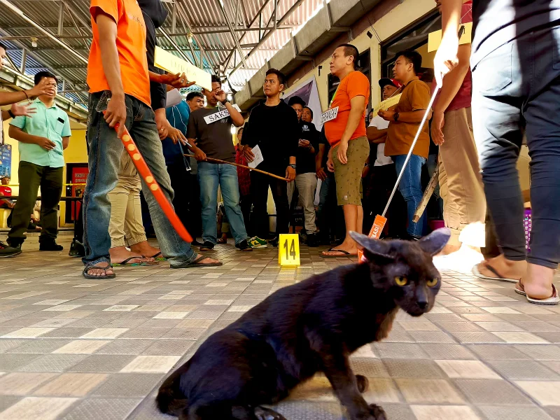 Kenalkan, Ini Buser Kucing Hitam "Penjaga" Polresta Manado