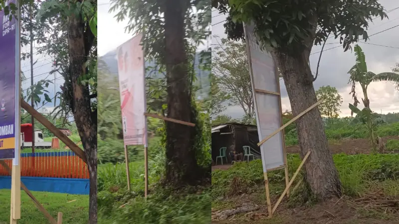 Ada Perda dan PKPU, Tapi Pohon Perindang Selalu Jadi Korban Setiap Pemilu