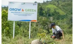 Bangkitkan Harapan Petani di Lahan Kritis, BRI Salurkan Bantuan Tanaman Produktif