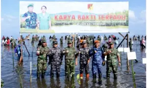 Kodam XIII/Merdeka Peduli Mangrove Tanam 5 ribu Pohon di Wilayah Arakan