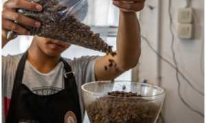 Kopi Ini Jangkau Pasar Lebih Luas Berkat Pemberdayaan BRI “KlasterkuHidupku”