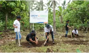 BRI Grow and Green Berdayakan 2 Kelompok Tani, Hadirkan Tanaman Produktif di Lahan Kritis