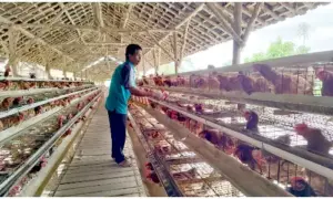 Awalnya Terhimpit Pandemi, Klaster Usaha Ini Berkembang Berkat Program BRI KlasterkuHidupku