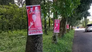 Halo Bawaslu Minut! Banyak APK Caleg Dipasang di Pohon