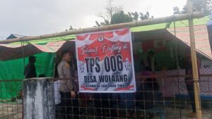 TPS 06 Desa Wolaang, Suara Prabowo-Gibran 94 Persen