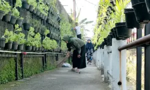 Program BRInita Sukses Jadikan Kelurahan Padjajaran Bandung Jadi Percontohan Urban Farming