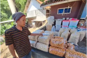 Usaha Endog Lewo Garut Sukses Tingkatkan Produksi Berkat Pemberdayaan BRI KlasterkuHidupku