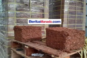 Hebat! Pabrik Produk Olahan Sabut Kelapa Ada di Minahasa Selatan