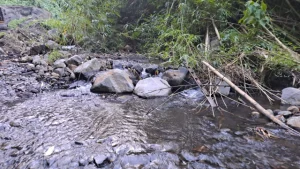 Ketua RT Tepis Ada Tambang Batu di Lahan Milik Buang Ngantung 