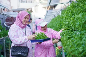 Kelompok Dasawisma Pisang Sulap TPS Liar Jadi Urban Farming yang Bernilai Ekonomis