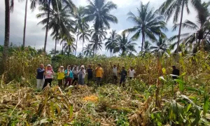 Begini Aksi Nyata Umat Paroki Santo Lukas Ratahan Dukung Program Pemerintah