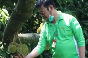 Bantah Minta Beli Durian Musang King Rp46 Juta, Begini Potret SYL Kesengsem Buah Durian